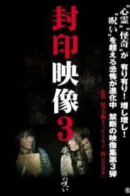 封印映像3 廃トンネルの呪い Online En Netflix