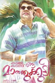 കടൽ കടന്നൊരു മാത്തുകുട്ടി Online En Netflix