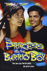 The Princess and the Barrio Boy Online En Netflix