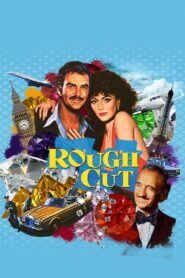 Rough Cut Online En Netflix