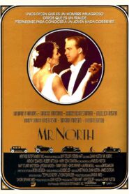 Mr. North Online En Netflix