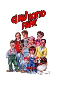 Ci hai rotto papà Online En Netflix