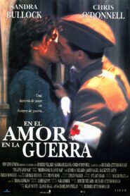 In Love and War Online En Netflix