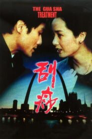 刮痧 Online En Netflix