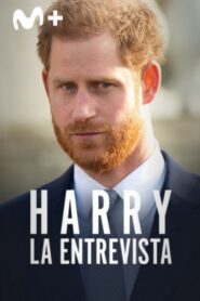 Harry: The Interview Online En Netflix
