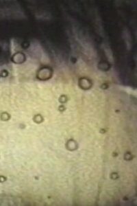 Alone at Last_1988 Online En Netflix