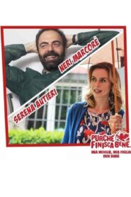 Mia moglie, mia figlia, due bebè Online En Netflix