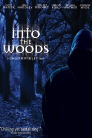 Into the Woods Online En Netflix