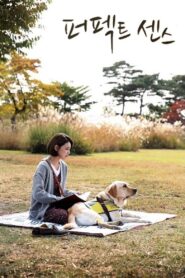 퍼펙트 센스 Online En Netflix