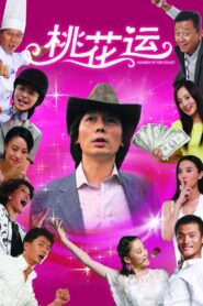 桃花运 Online En Netflix