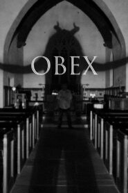 OBEX Online En Netflix