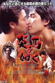 炎馬の如く Online En Netflix