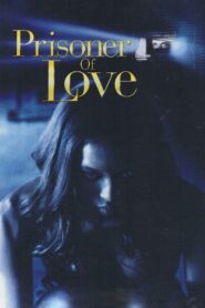 Prisoner of Love Online En Netflix