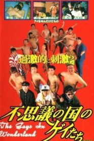 不思議の国のゲイたち Online En Netflix