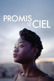 Promis le ciel Online En Netflix