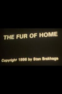 The Fur of Home Online En Netflix