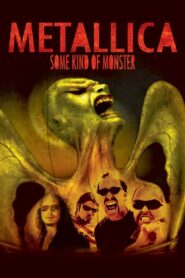 Metallica: Some Kind of Monster Online En Netflix