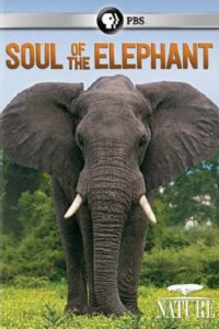 Soul of the Elephant Online En Netflix