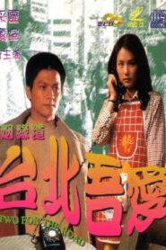台北吾愛 Online En Netflix
