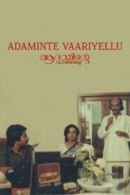 ആദാമിന്‍റെ വാരിയെല്ല് Online En Netflix