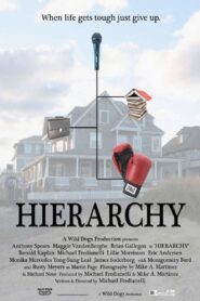 Hierarchy Online En Netflix