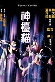神檯貓 Online En Netflix
