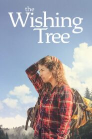The Wishing Tree Online En Netflix