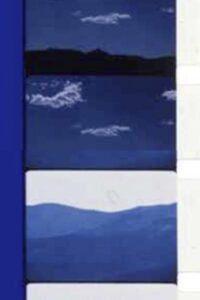 Vision of the Fire Tree Online En Netflix