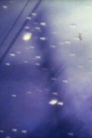 真珠のように輝いた太陽 Online En Netflix