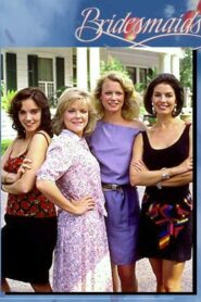 Bridesmaids Online En Netflix
