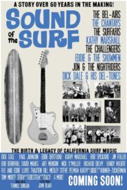 Sound of the Surf Online En Netflix