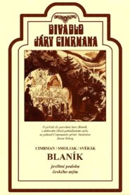 Blaník Online En Netflix