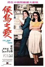 候鳥之愛 Online En Netflix