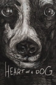 Heart of a Dog Online En Netflix