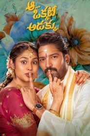 ఆ ఒక్కటీ అడక్కు Online En Netflix