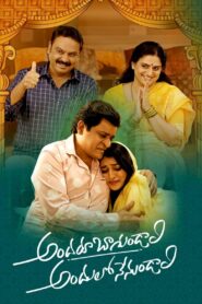 అందరూ బాగుండాలి అందులో నేనుండాలి Online En Netflix