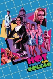 Hot Under the Collar Online En Netflix