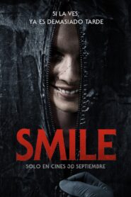 Sonríe Online En Netflix