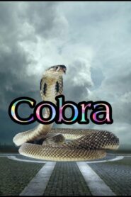 Cobra Online En Netflix