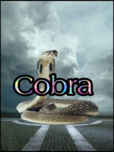 Cobra Online En Netflix