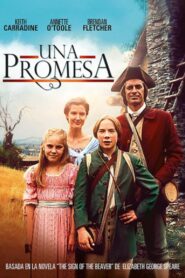 Keeping the Promise Online En Netflix