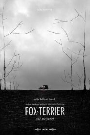 Fox-Terrier Online En Netflix