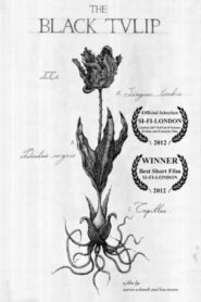 The Black Tulip Online En Netflix