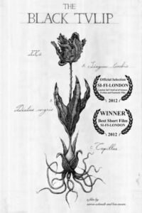 The Black Tulip Online En Netflix