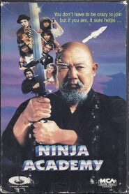 Ninja Academy Online En Netflix