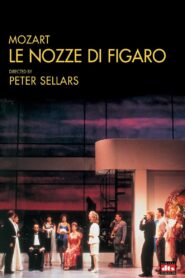 Le nozze di Figaro Online En Netflix