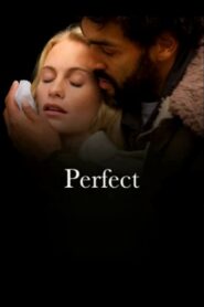 Perfect Online En Netflix