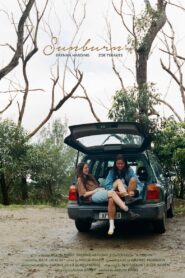 Sunburn Online En Netflix