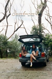Sunburn Online En Netflix