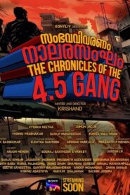 The Chronicles of the 4.5 Gang Online En Netflix